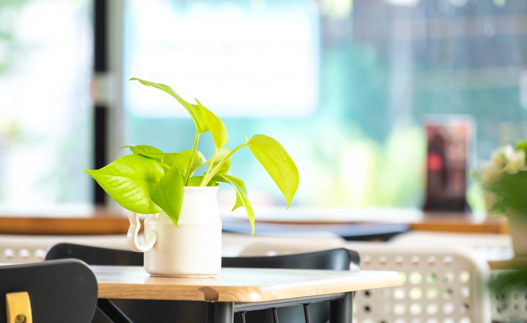 Environmental Friendliness